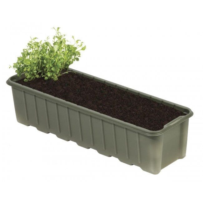 Såbakker, aflange - biobaseret 5 stk. - Blomsterverden
